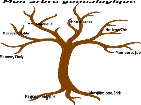 600x448 153 Best Tree Images Public Domain