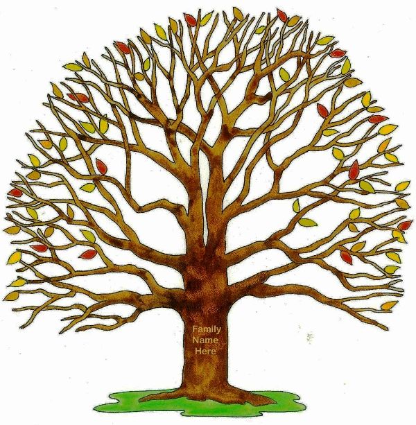 600x613 With Brown Trunk Family Tree Clipart, Explore Pictures