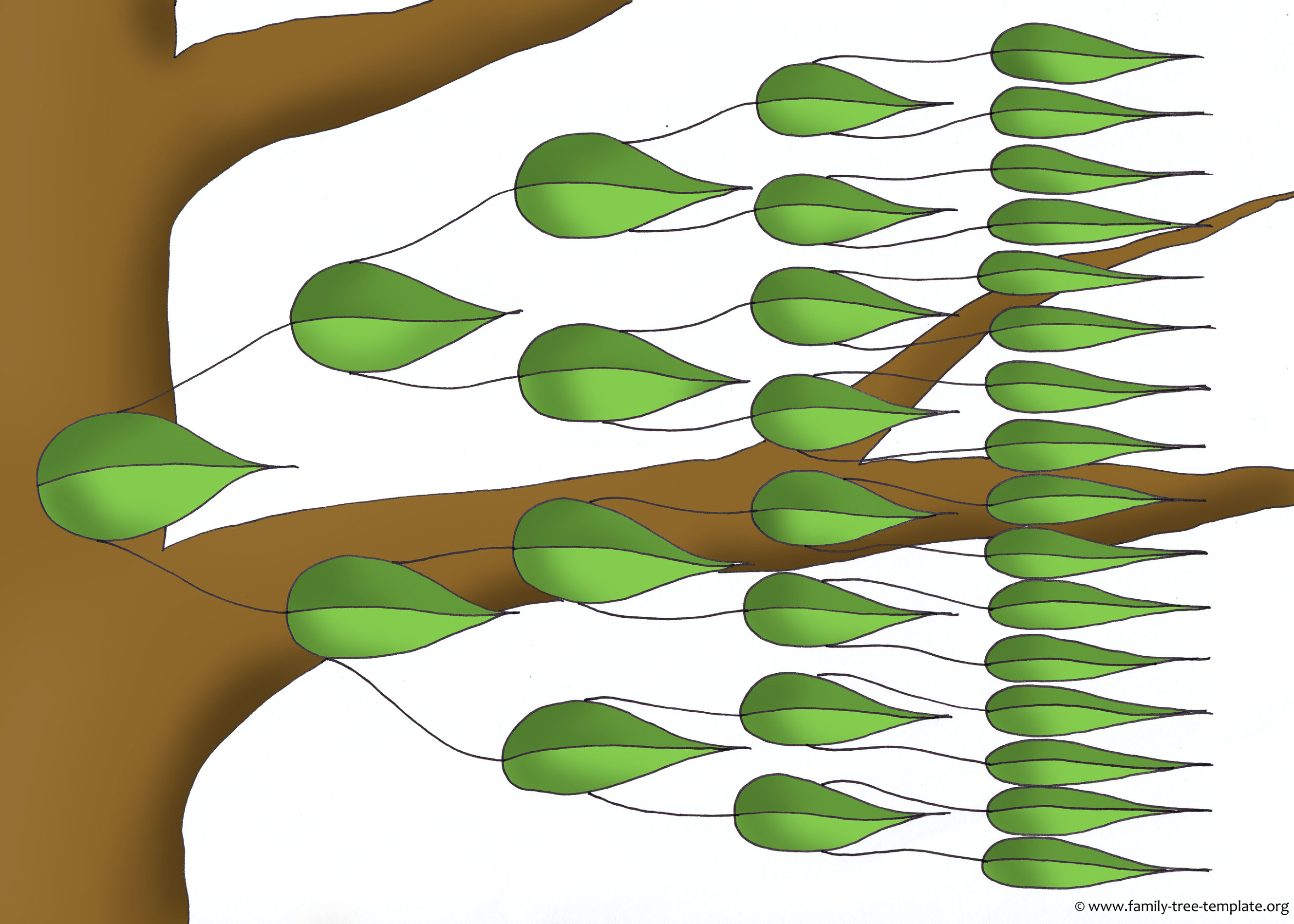 2657x1898 A Different Family Tree Design With A Big Trunk And Leaves