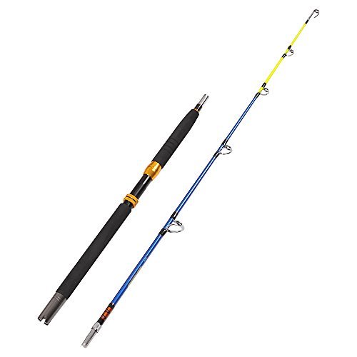 500x500 Salt Water Fishing Rods