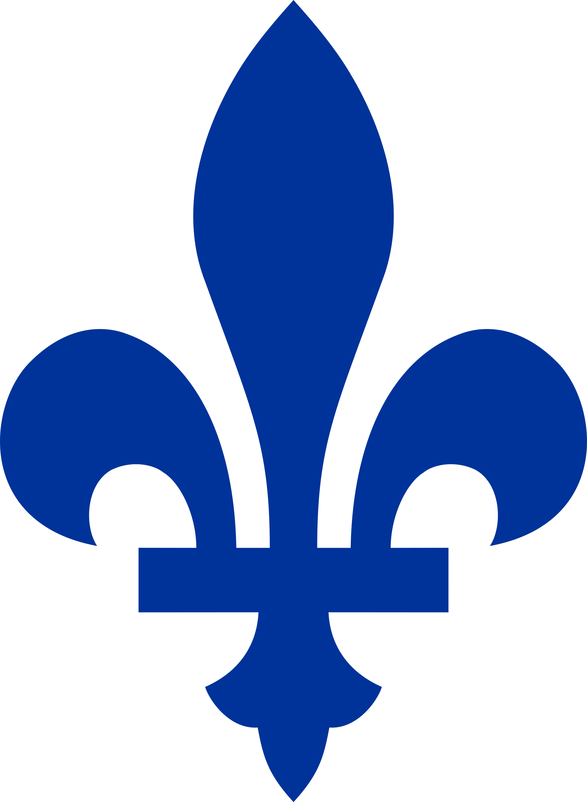 2000x2731 Fleur De Lis