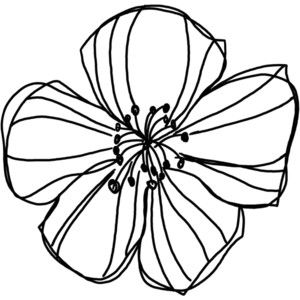 Pictures Of Flower Drawings