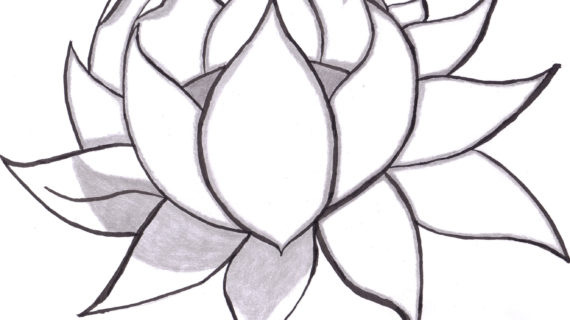 570x320 Pictures Of Drawing Flowers Best Ideas About Flower Drawings