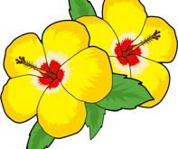 197x165 Impressive Design Ideas Flowers Clipart Free Clip Art Pictures