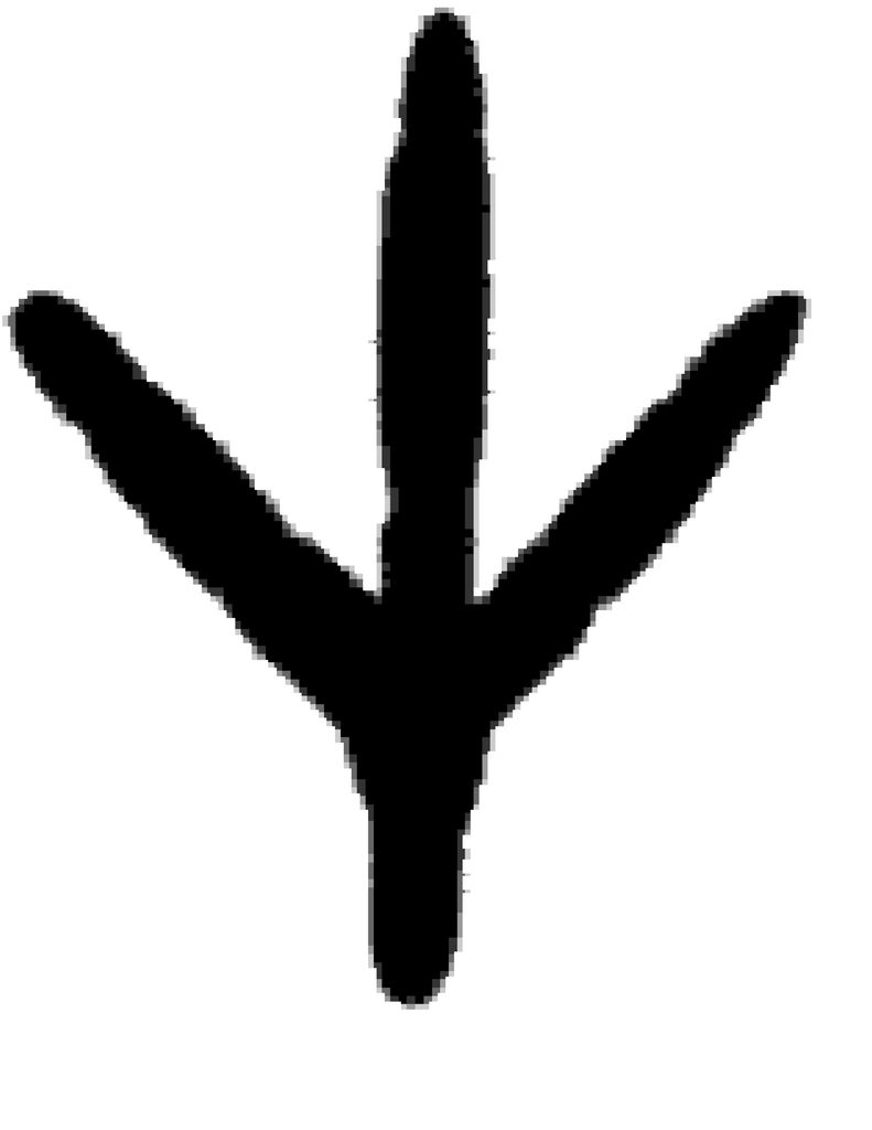 791x1024 Hawk Clipart Footprints