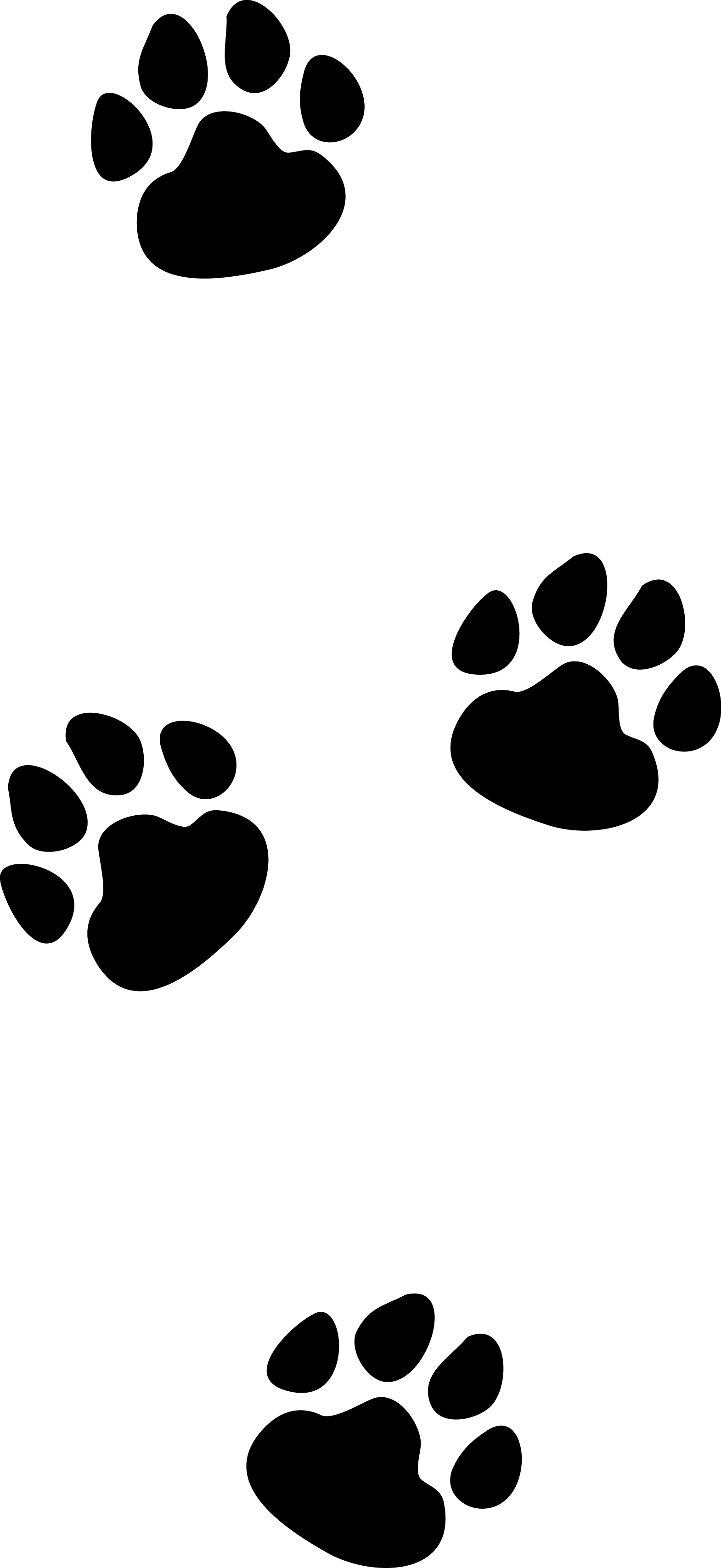 1570x3416 Cat Footprints