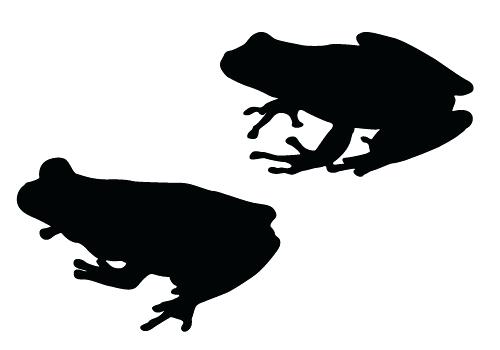 500x350 Frogs Clipart Frog Black And White Image Of Frog Black And White