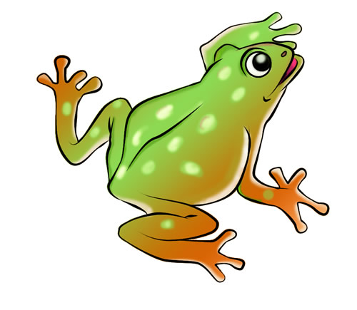 500x435 Image Of A Frog