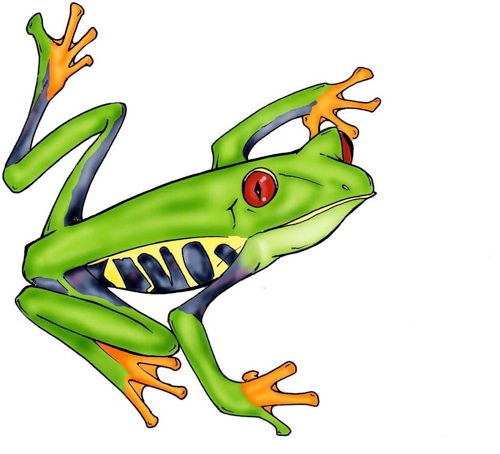 500x454 Image Of Tree Frog Clipart