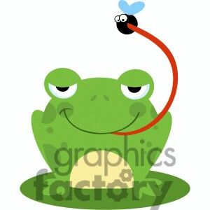 300x300 156 Best Lily Pad Images Biology, Boxes And Bridal