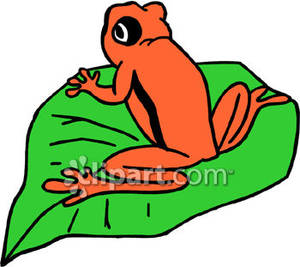 300x267 Orange Frog On A Lily Pad