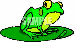 300x170 Picture A Green And Yellow Frog On A Lily Pad