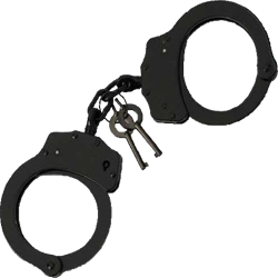 250x250 Hand Amp Leg Cuffs The X Bay