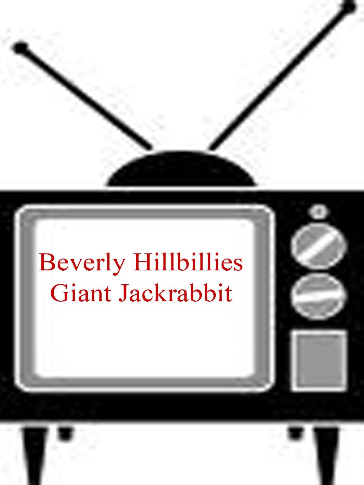 1200x1600 Giant Jackrabbit