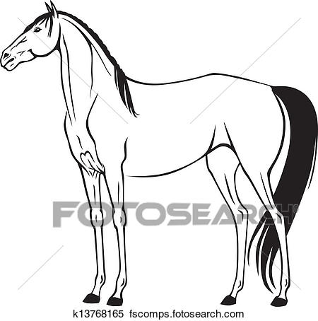 450x454 Clipart Of Beautiful Thoroughbred Riding Horse K13768165