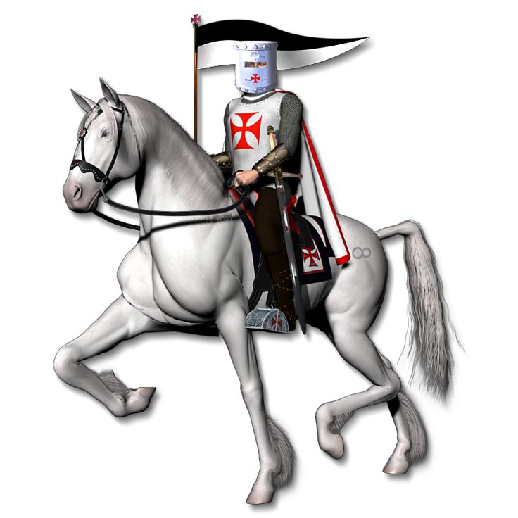 736x736 Knight Clipart Royal Horse
