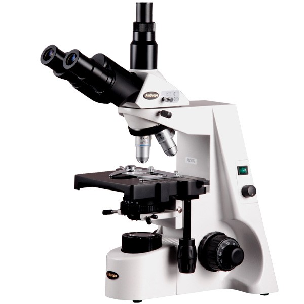 600x600 Different Uses Of Microscopes