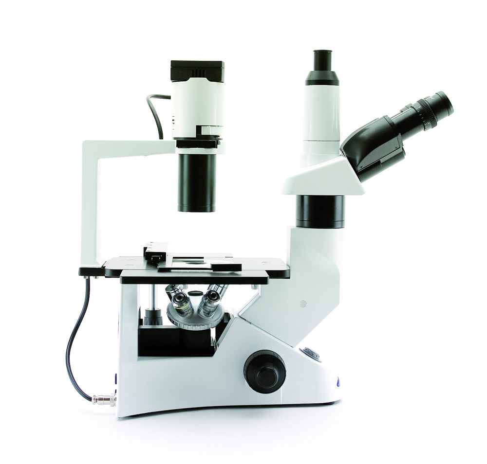 1000x954 Inverted Microscope