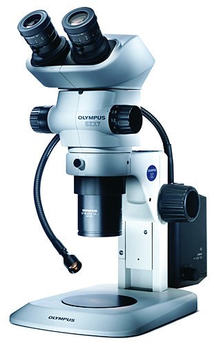 310x500 Microscope Systems (@microscopesuk) Twitter