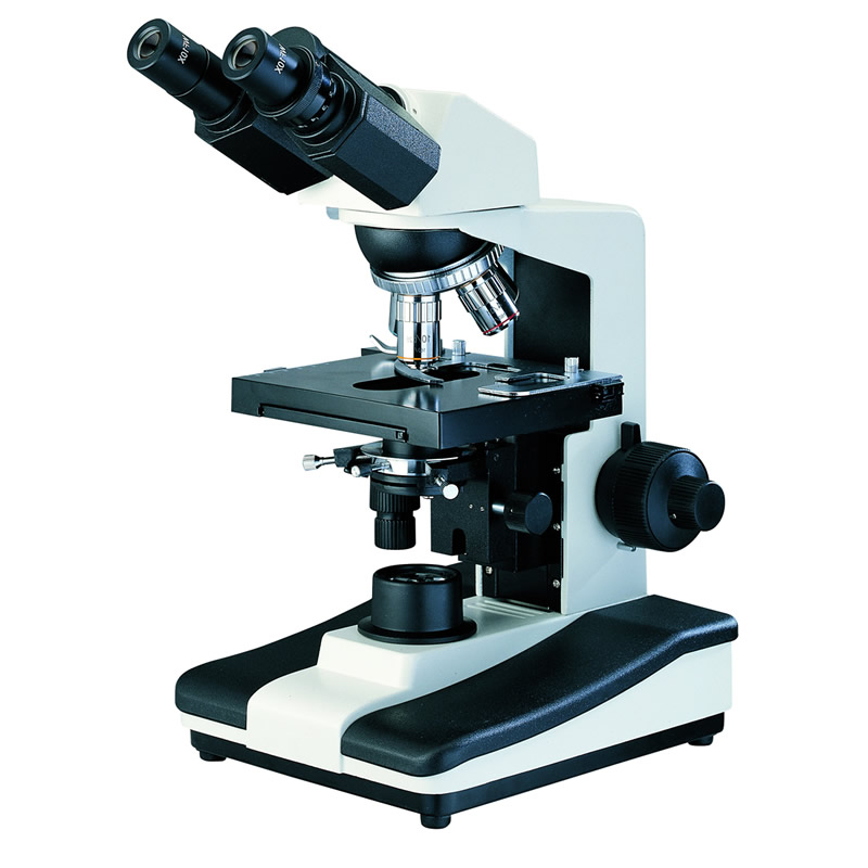800x800 Microscope