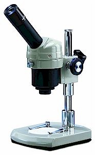 185x302 Types Of Light Microscopes