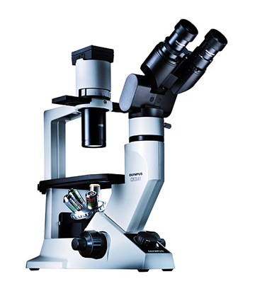 360x411 What Are The Different Types Of Optical Microscope