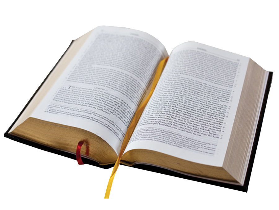 900x676 Holy Bible Open Page Transparent Background