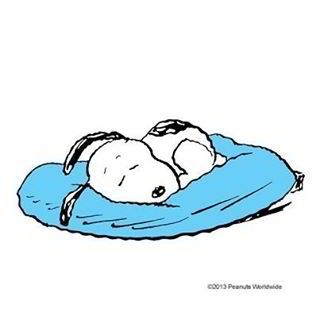 320x320 455 Best I Love Sleeping Images Humorous Quotes