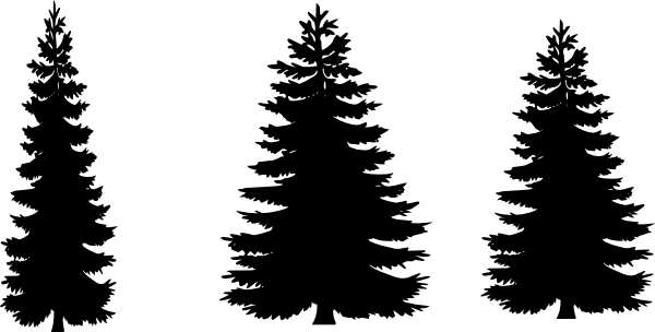 600x304 Pine Tree Clipart Vector