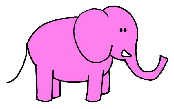 600x376 Elephant Crossing Quiz 10 Questions