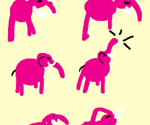 300x250 Elephants On Parade