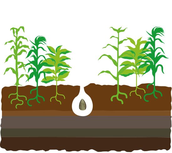 549x489 53 Best Gmo Basics Images Fiction, Would You And Cancer