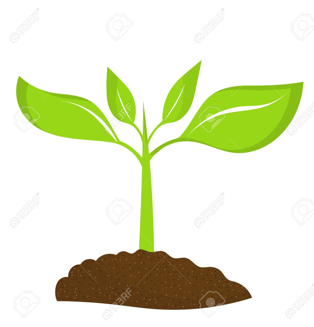 1247x1300 Soil Clipart Seed