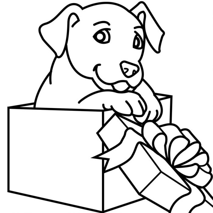 700x700 Coloring Pages Puppies Pictures Delux Puppys Print And Color Look