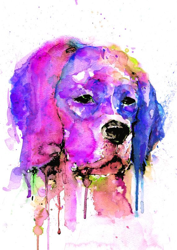 570x806 211 Best Animal Portrait Watercolor Art Images Fish