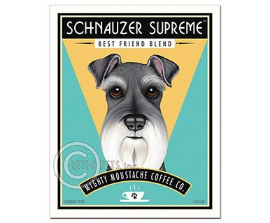 386x320 2924 Best Schnauzer Things Images Ideas And Puppies