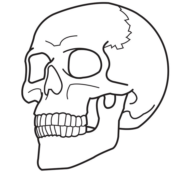 778x700 Free Printable Skull Coloring Pages For Kids