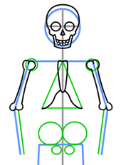 170x232 How To Draw A Skeleton
