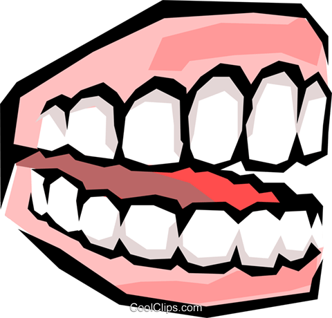 480x460 Teeth Clipart Transparent