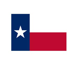 298x248 Texas Flags
