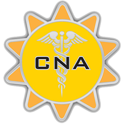 250x250 Sunshine Award Nomination Form Uw Health Madison, Wi