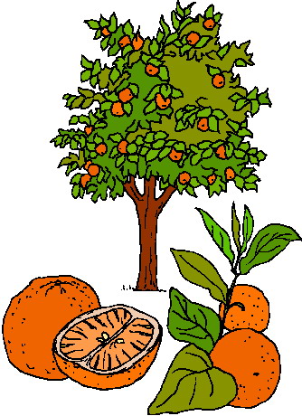 334x460 Food From Trees Clipart