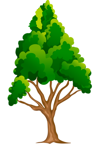 322x500 Tree