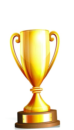 285x500 Awards Trophies Amp Medals Partyrama.co.uk