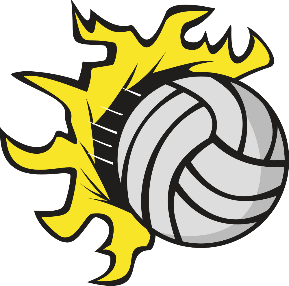 1000x990 Best Volleyball Clipart