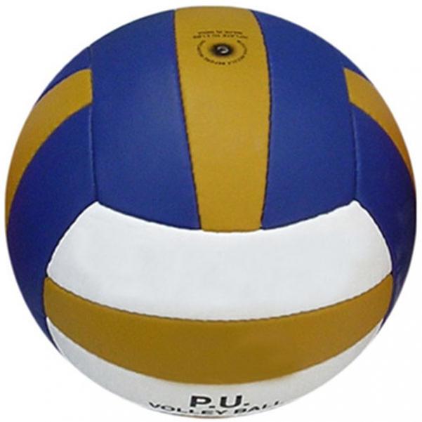 601x601 Sports Ballsvolley Balls