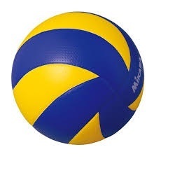250x250 Sports Volleyballs