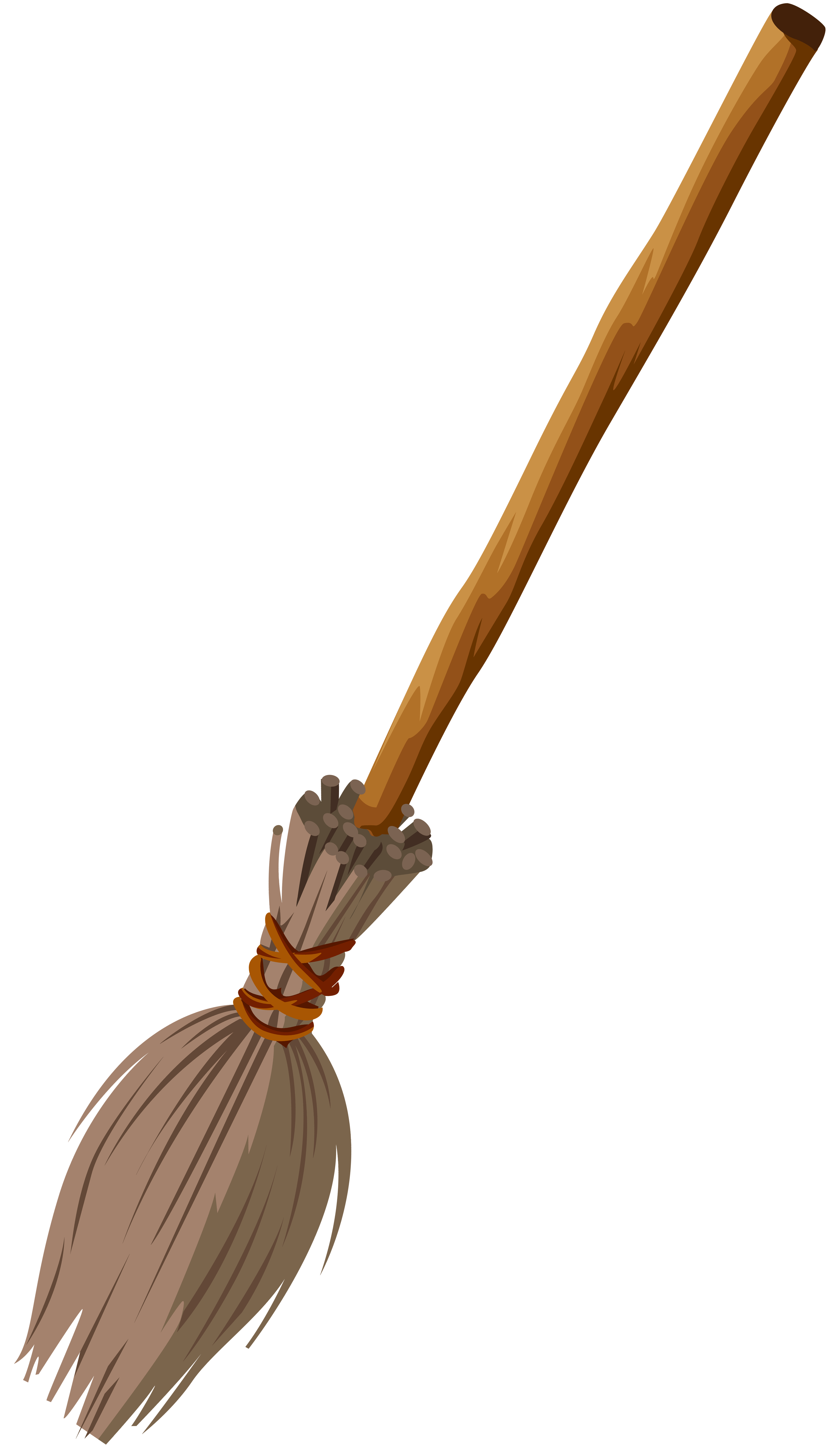 4639x8000 Witches Broom Cliparts