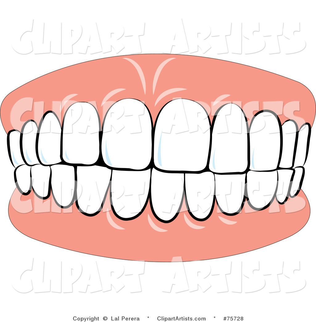 1024x1044 Teeth Clipart Black And White Clipart Panda