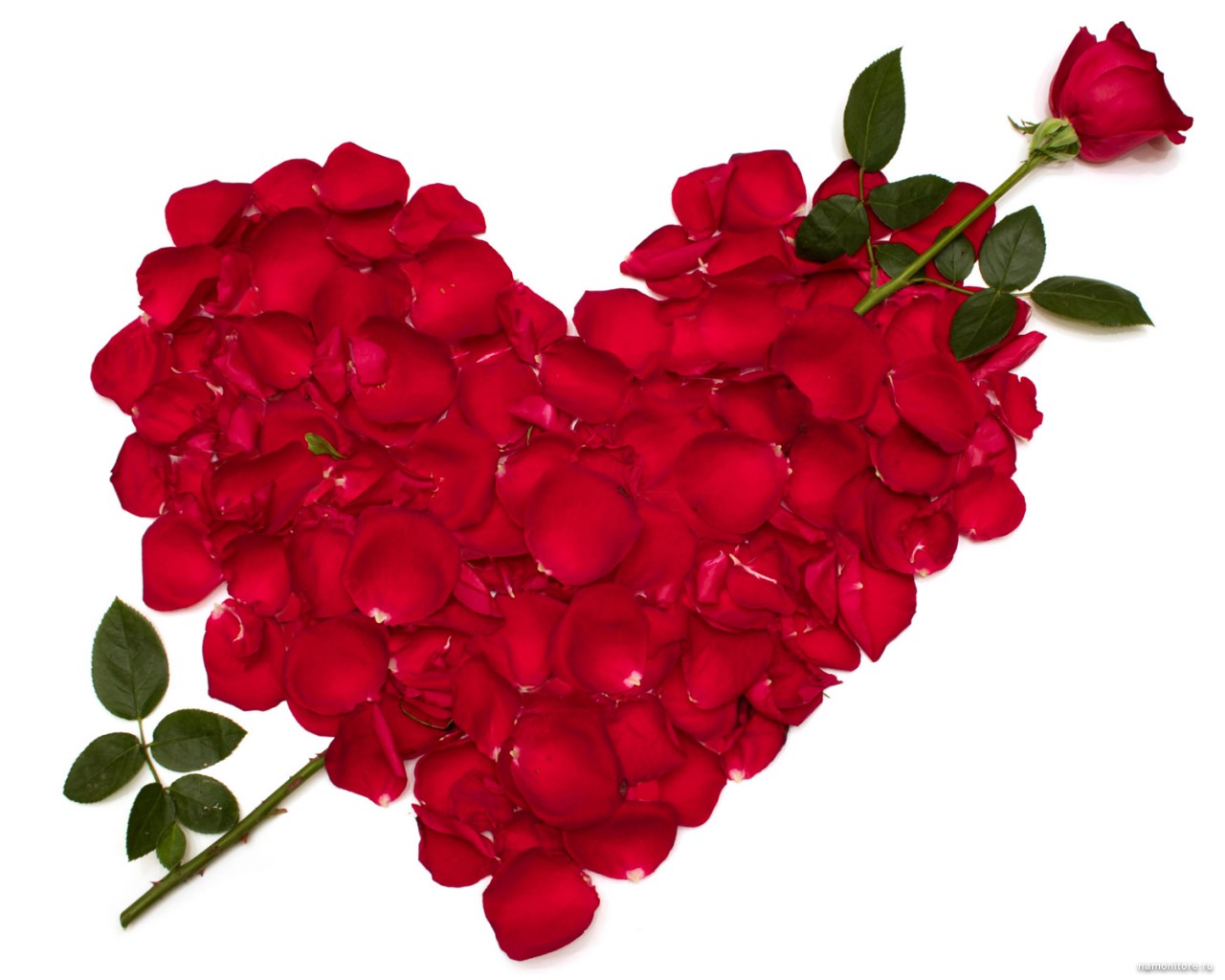 1280x1024 Day Clipart 1280x1024